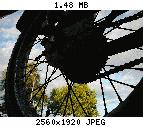 tn_p1000714.jpg