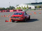 P1010102.JPG
