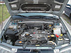 P1010006.JPG